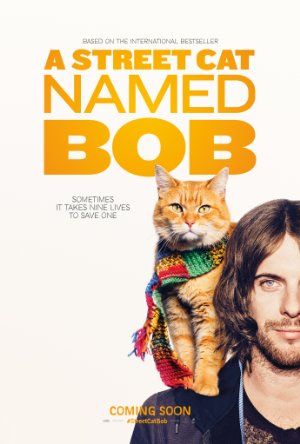 Bob, az utcamacska online film