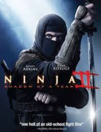 Ninja 2: A bosszú árnyéka online film