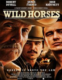 Wild Horses online film