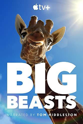 Big Beasts - 1. évad online film