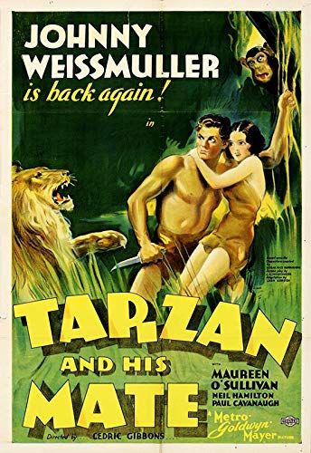 Tarzan és asszonya online film