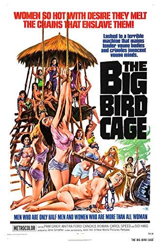 The Big Bird Cage online film