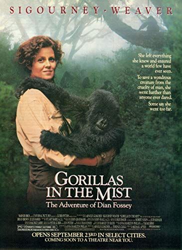 Gorillák a ködben online film