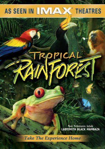 Trópusi esőerdő online film