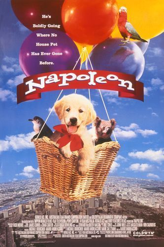Napoleon - Kis kutya, nagy pácban online film