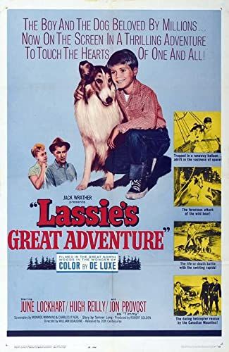 Lassie nagy kalandja online film