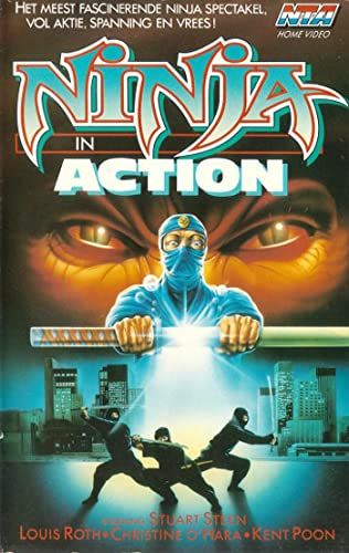 Ninja in Action online film