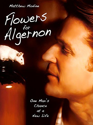 Virágot Algernonnak online film