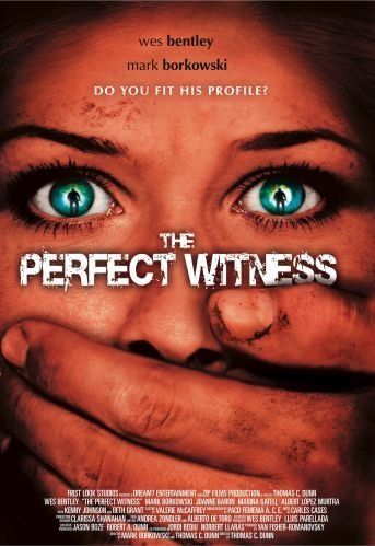 A tökéletes tanú online film