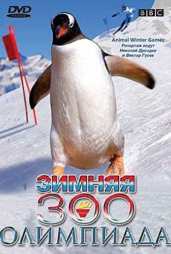 Az állatvilág bajnokai - Téli játékok - 1. évad online film