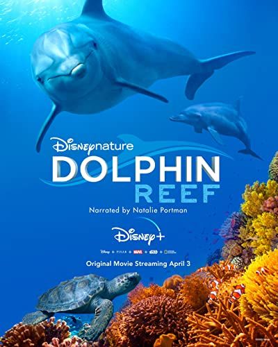 Dolphin Reef online film