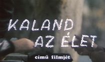 Kaland az élet online film