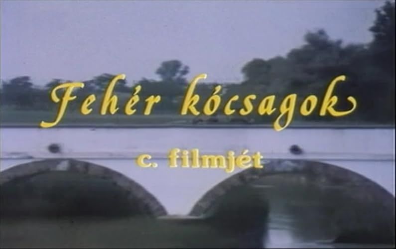 Fehér kócsagok online film