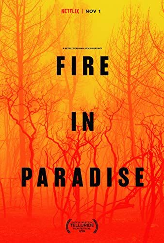 Fire in Paradise online film