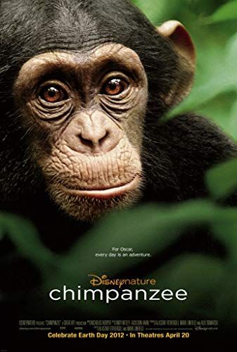 Oscar, a csimpánz online film