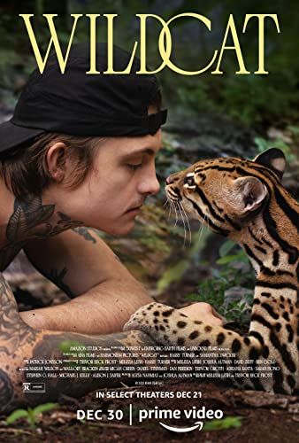 Wildcat online film