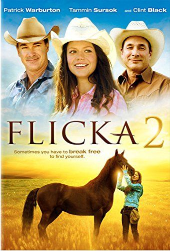 Flicka 2 online film