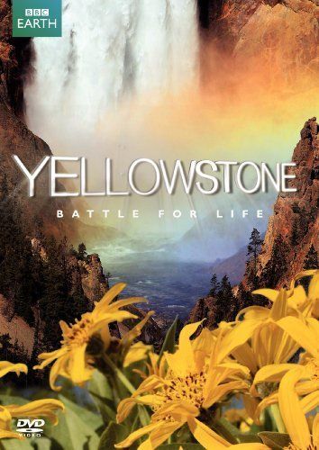 Yellowstone - 1. évad online film
