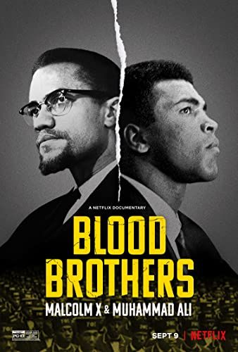Vértestvérek: Malcolm X és Muhammad Ali online film