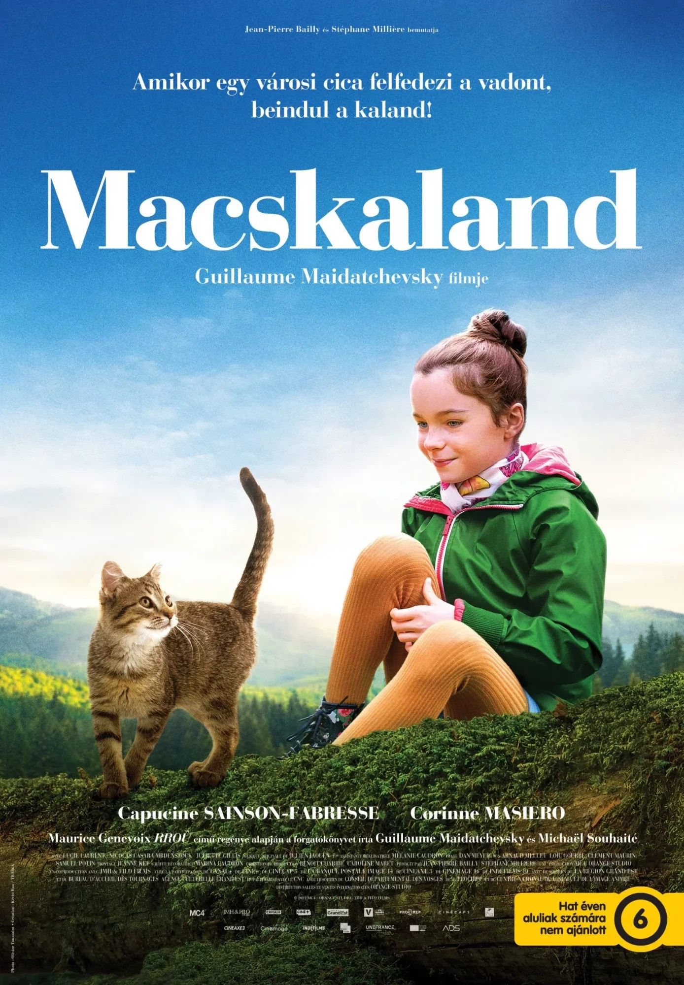 Macskaland online film