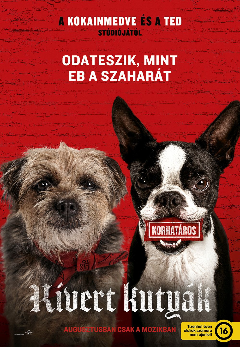 Kivert kutyák online film