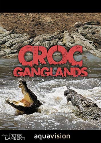 Croc Ganglands online film
