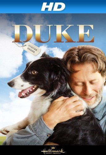 Kutyám Duke online film