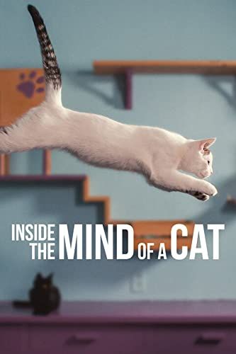 Inside the Mind of a Cat online film