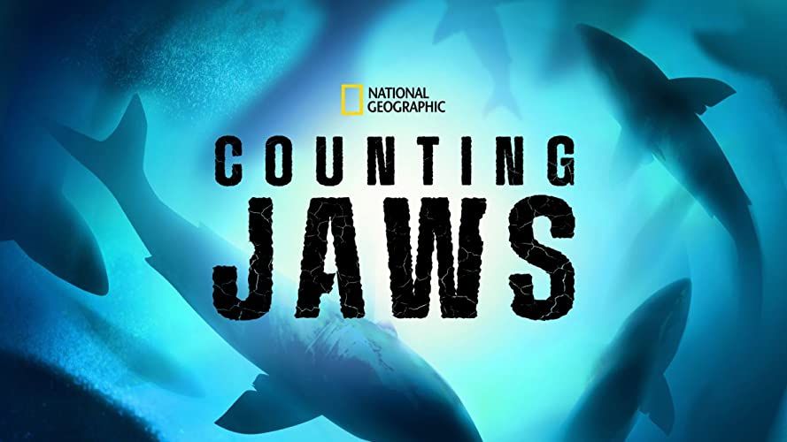 Megszámolni a cápákat online film