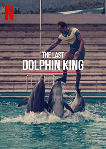 Mi történt a delfinkirállyal? (The Last Dolphin King) online film