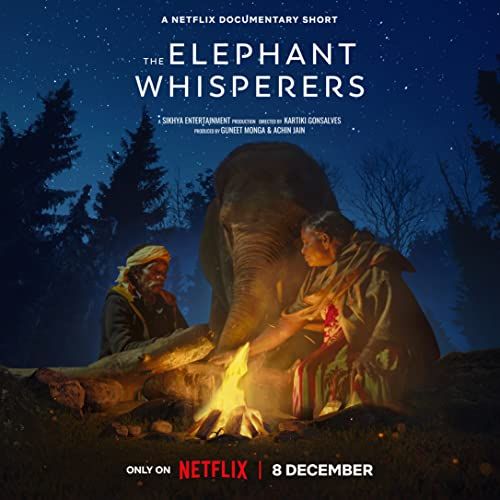 Az elefántsuttogók online film