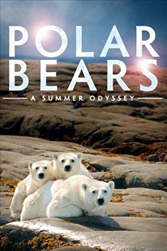 Jegesmedvék - Élet a jégmezőn online film