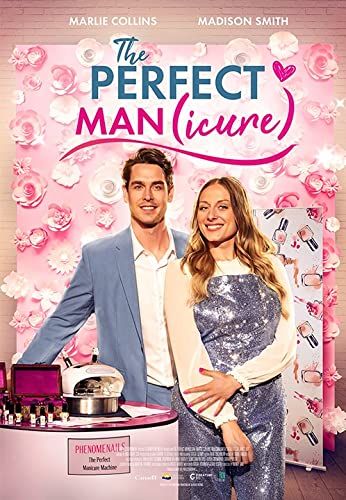 The Perfect Man online film