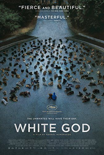 Fehér isten online film