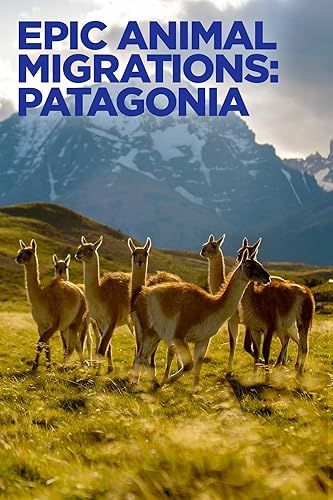 Lenyűgöző állatvándorlások: Patagónia online film