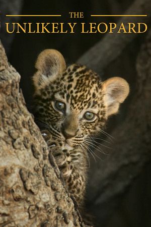 A kétballábas leopárd online film