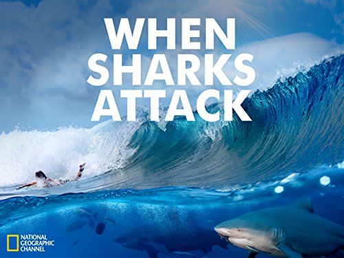 When Sharks Attack - 5. évad online film
