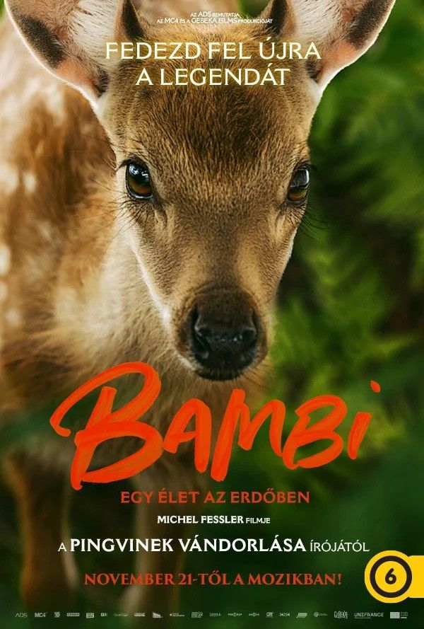 Bambi: Élet az erdőben online film