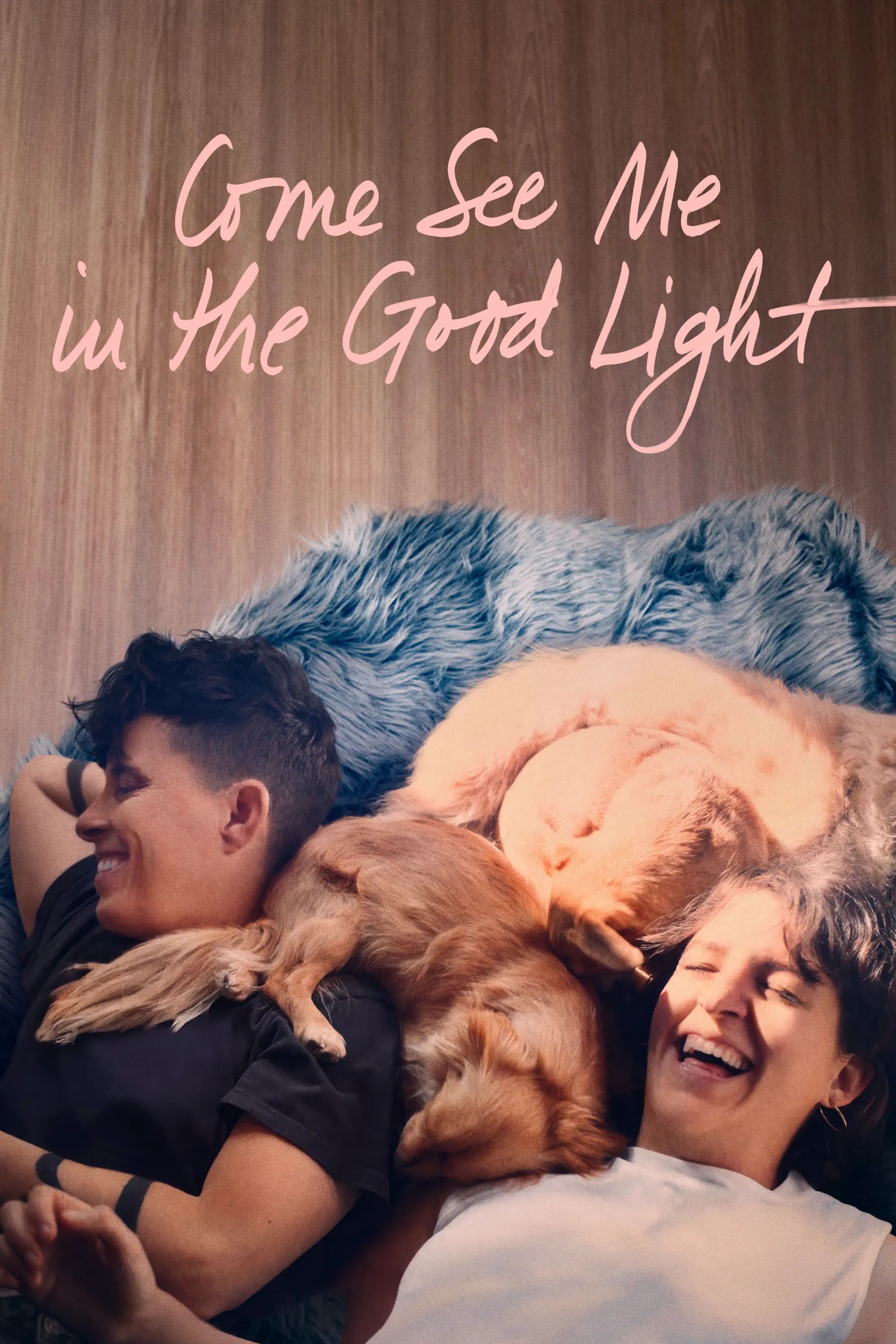 Come See Me in the Good Light online film