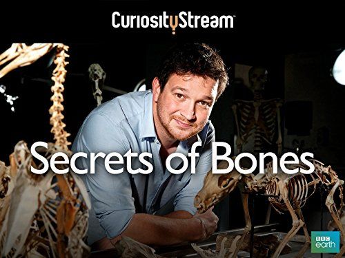 Secrets of Bones - 1. évad online film