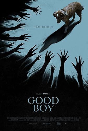 Good Boy online film
