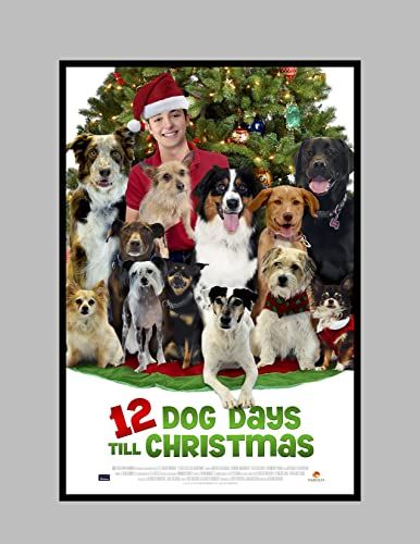 12 Dog Days of Christmas online film