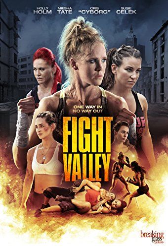 Fight Valley online film