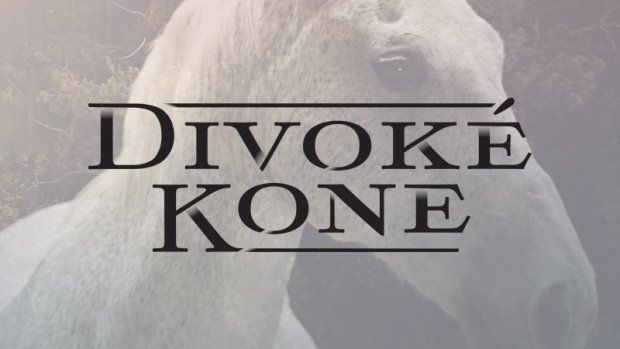 Divoké kone - 1. évad online film
