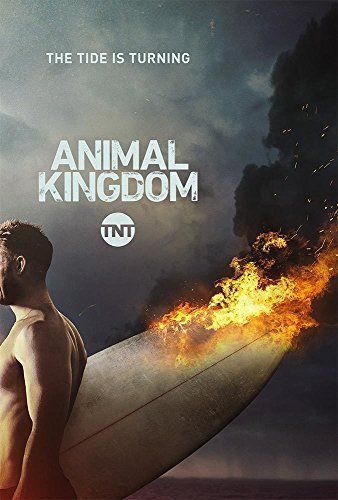 Animal Kingdom - 3. évad online film