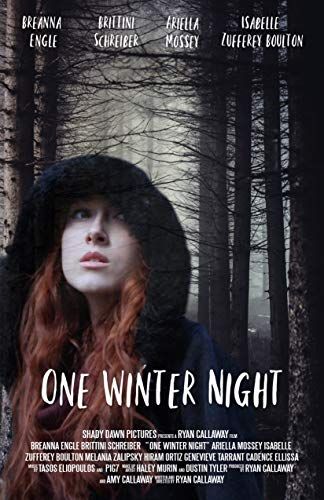 One Winter Night online film