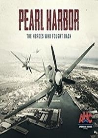 Pearl Harbor: The Heroes Who Fought Back online film