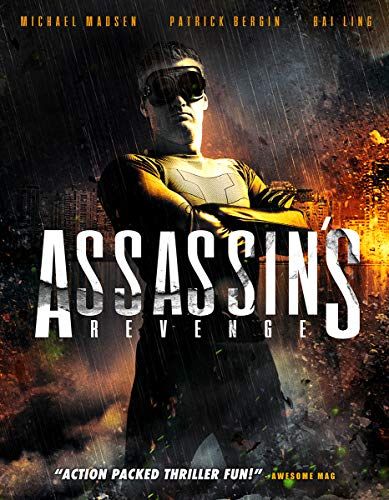 Assassins Revenge online film