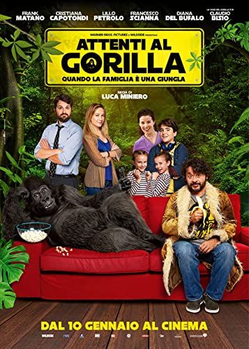 Vigyázat, gorilla! online film
