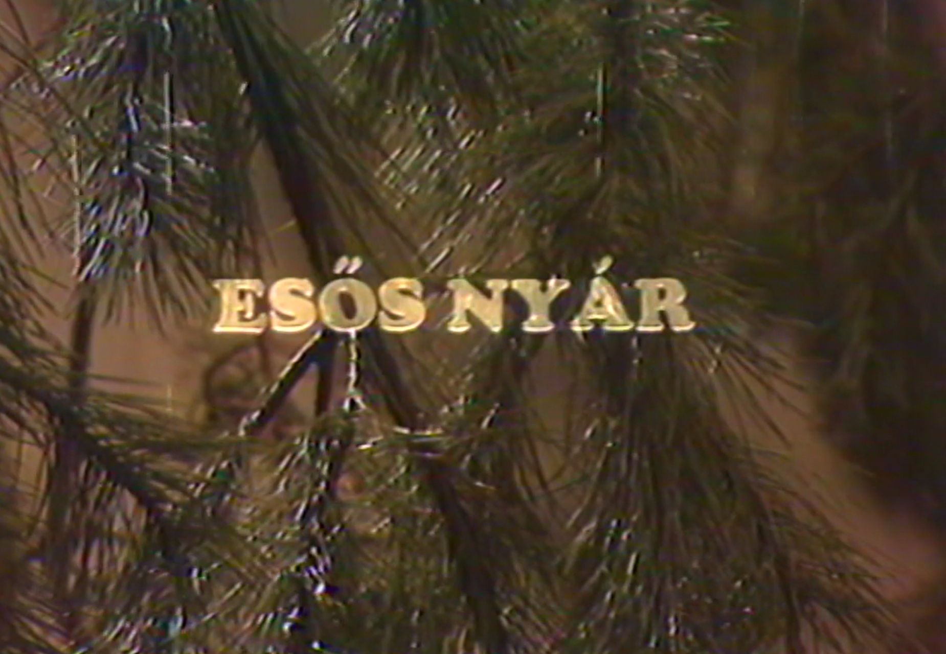 Esős nyár online film